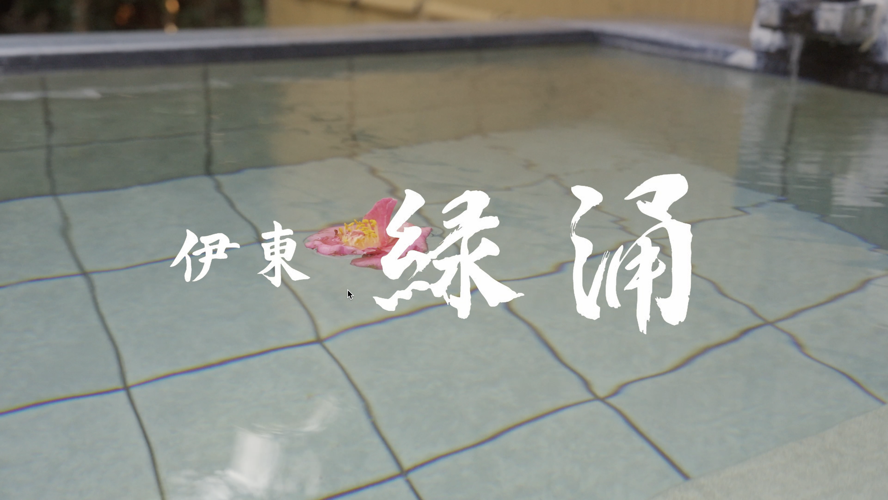 Image of logo